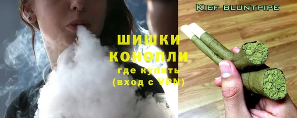 индика Михайловск
