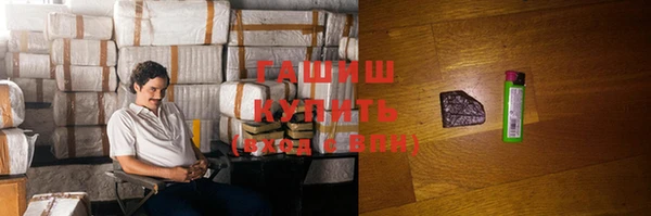 индика Михайловск