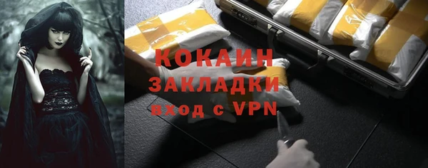 индика Михайловск