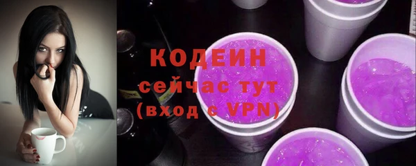 индика Михайловск