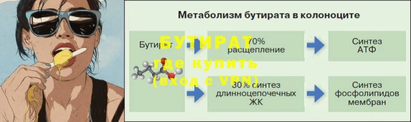 индика Михайловск