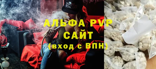 индика Михайловск