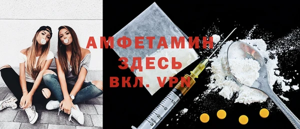 индика Михайловск