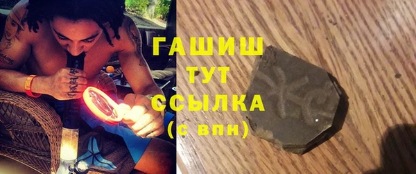 индика Михайловск