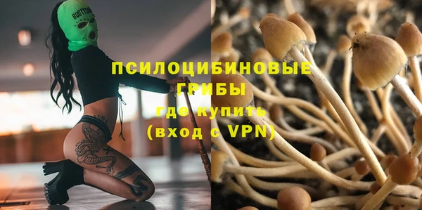стаф Михайловка