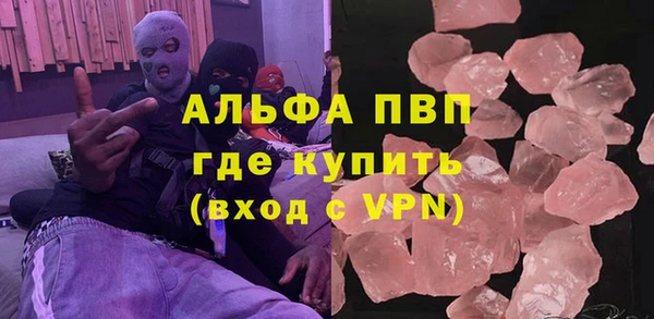 индика Михайловск