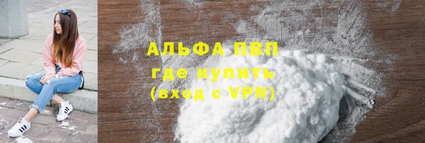 индика Михайловск