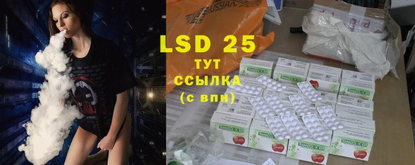 индика Михайловск